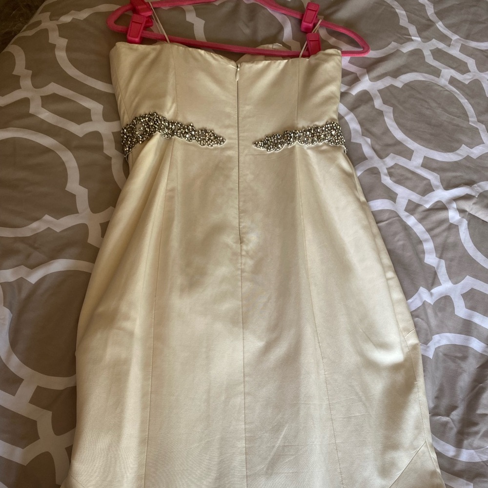 Nicole Miller Wedding Dress with sewn in crystal belt. Style is Dakota. - Picture 4 of 8